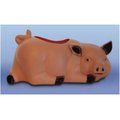 Union Products Union Products 53360SC Union Living Pig Planter 53360SC